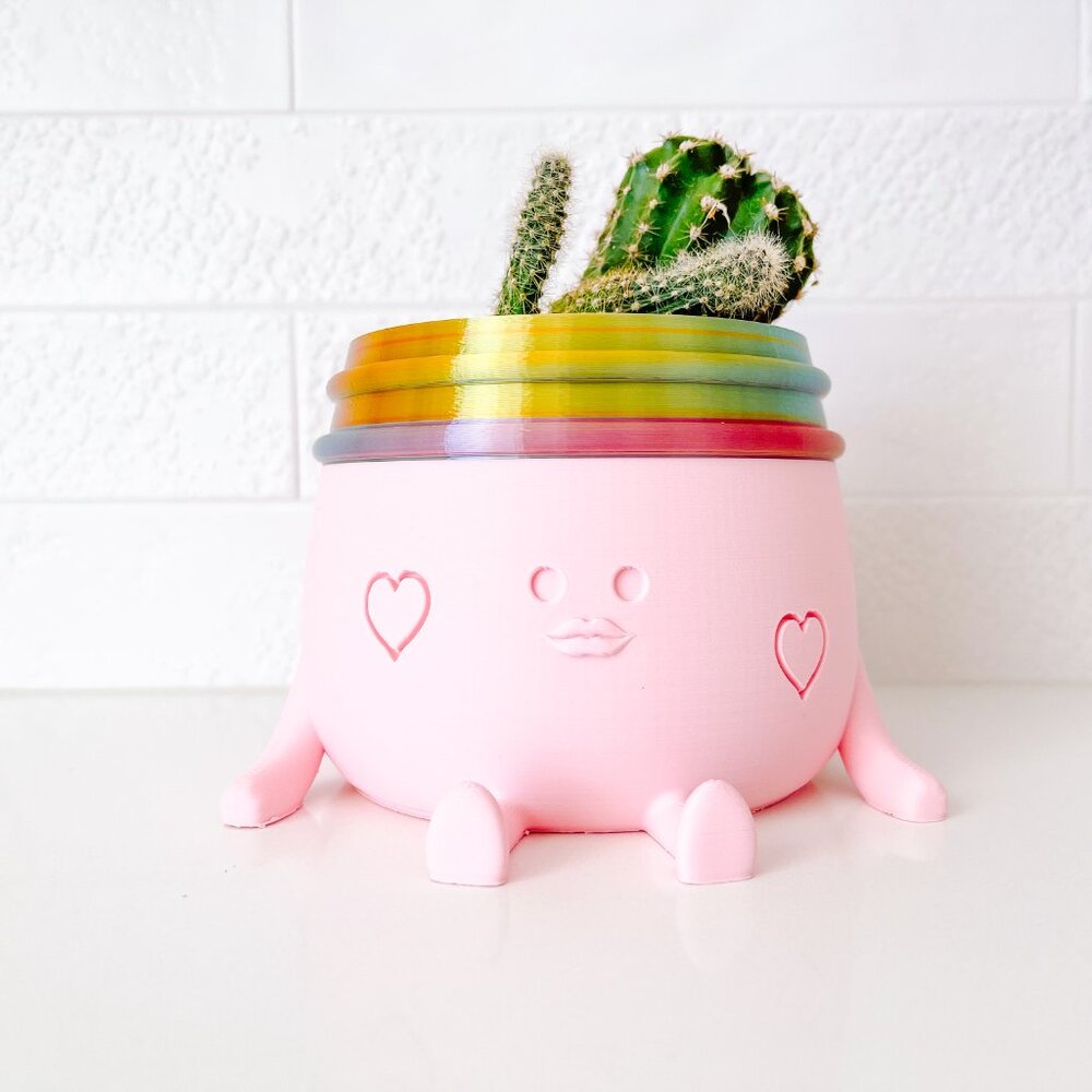 Jenny pot // plant pots for lined plants // 3D printed